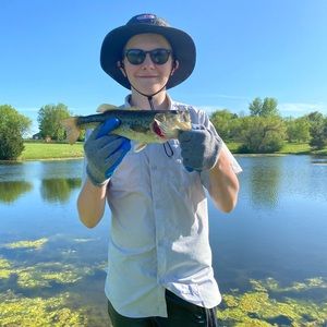 Meet your Posher, Harry